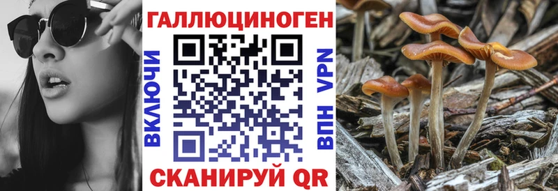 darknet официальный сайт  Курск  Галлюциногенные грибы ЛСД  купить наркотик 