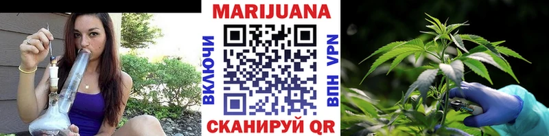 Конопля Ganja Курск